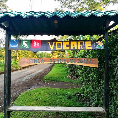 Vocare Finca Agroecologica Upala Ngoại thất bức ảnh