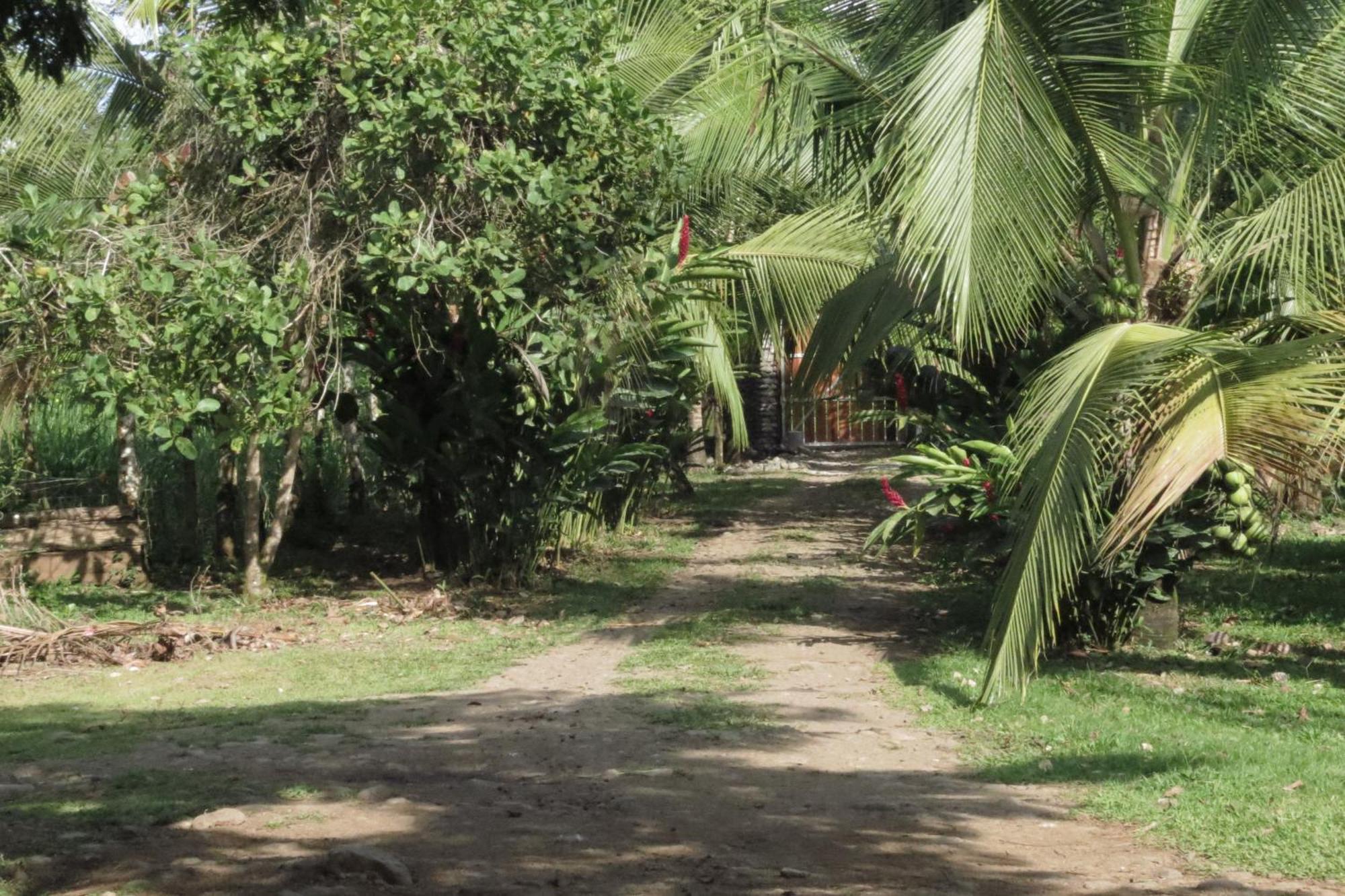 Vocare Finca Agroecologica Upala Ngoại thất bức ảnh
